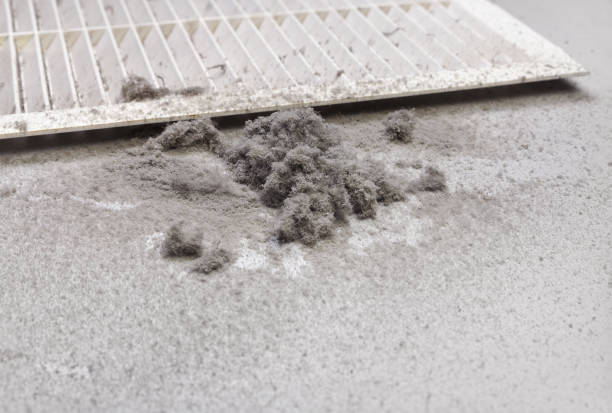 Best Local Air Duct Cleaning Services  in Fairview Ferndale, PA