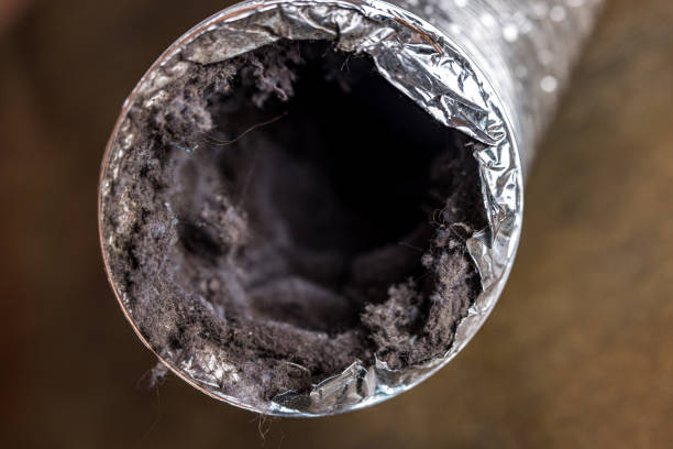 Best Emergency Air Duct Cleaning  in Fairview Ferndale, PA